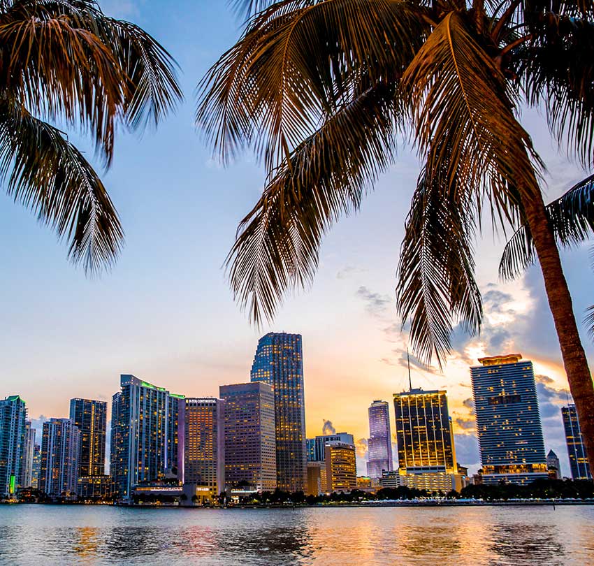 dr-ravi-ramjit_112024511-850x810-Miami-FL-USA